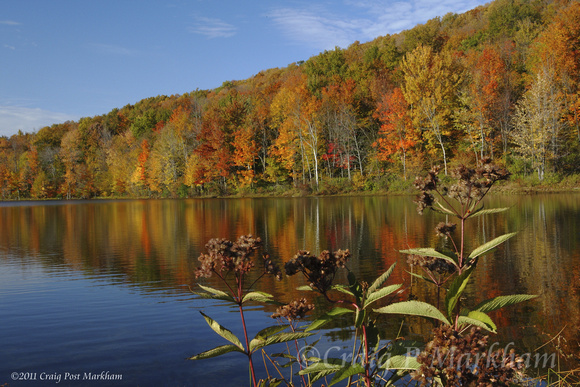 NY fall colors w lake, Joe Pie Weed 091019-MK3-7421