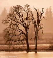 Tualatin River NWR